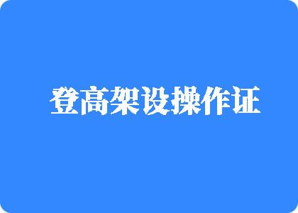 日本吊逼视频登高架设操作证